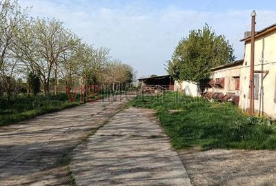 Teren de 25000 mp, în Călacea - 2