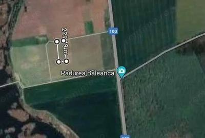 Teren de 753 mp, în Brănești - 2