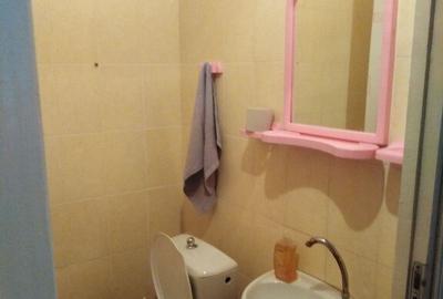 Apartament cu 2 camere de inchiriat in zona Nicolae Grigorescu - 2