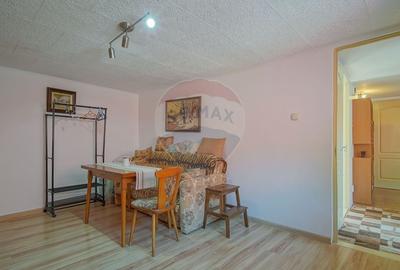 CORP DE CASA INSORIT PIATA UNIRII |3 CAMERE| TERASA CU PRIVELISTE - 28