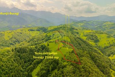 Teren extravilan, 25066 mp, Moieciu - 2