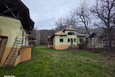 Casă cu 4 camere cu Teren 4332 Mp în Mănești - 8