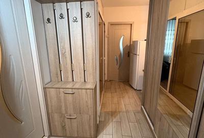 Garsonieră decomandată în Gorjului - 3