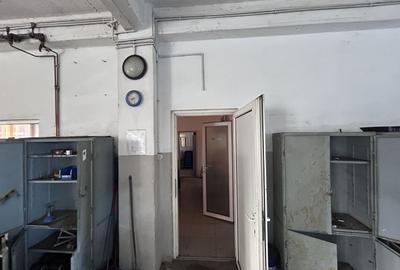 Spațiu industrial, de 960 mp, în Micălaca - 12