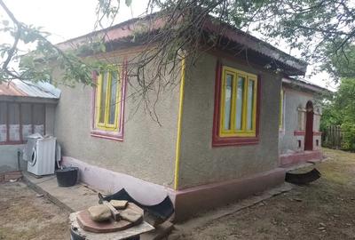 Vand casa in Amara judetul Buzau - 2