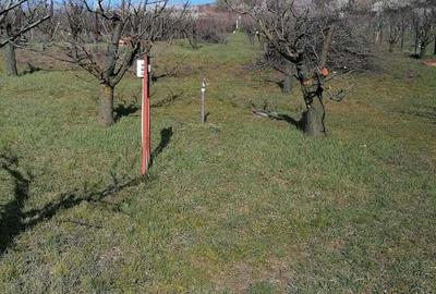 Teren de 3405 mp, în Spitalul Județean - 2