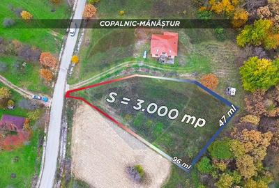 Teren Construcții intravilan de 3000 mp, în Copalnic-Mănăștur - 3