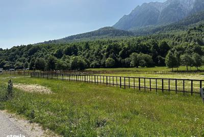 Spațiu comercial, în Plaiul Foii - 2