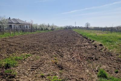 Casă cu 4 camere în Răzvad - 4