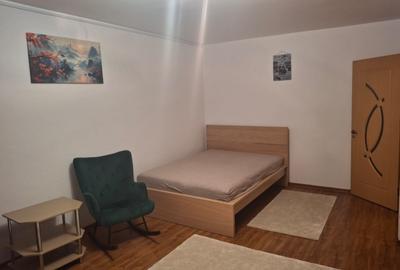 Proprietar Inchiriez garsoniera BASARABIA 2 minute Metrou - 8