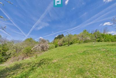 Casă individuală cu 2 camere cu Canalizare în Măgulicea - 39