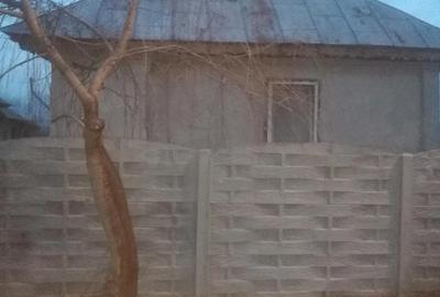 Casă cu Teren 1222 Mp în Grădinari - 3