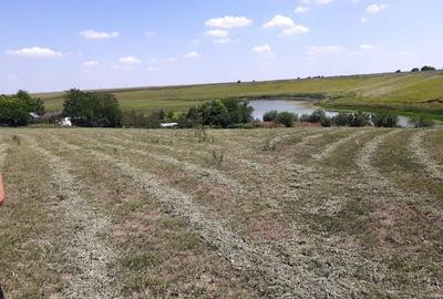 Teren extravilan de 6314 mp, în Belciugatele - 5