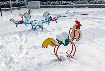 Apartament cu curte proprie si 2 parcari, de inchiriat in Adora Forest - 29