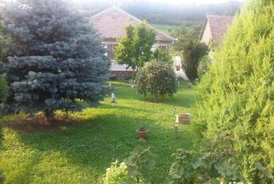 Casă cu 3 camere în Dumbrăveni - 6