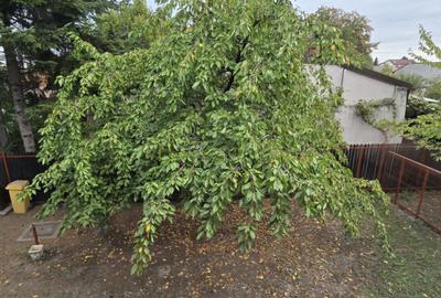 Casa de vanzare in zona Buna Vestire, Ploie?ti - 18