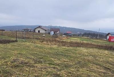 Teren de 656 mp, în Tomești - 5