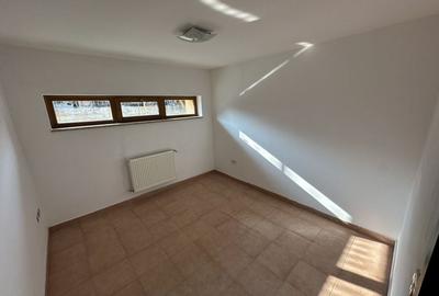 Proprietate cu piscina Dumbravita - 47