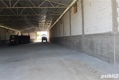 Spațiu comercial, de 20,000 mp, în Ciorani - 2