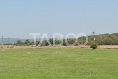 Teren pretabil investitie 4300mp de vanzare zona Calea Cisnadiei Sibiu - 1