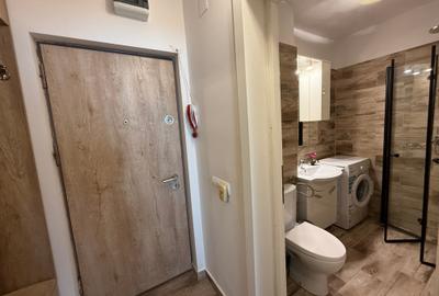 Garsonieră semidecomandată, mobilată în Dristor - 13