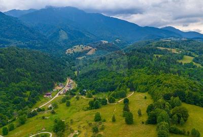 Teren Parcul National Bucegi/Str Glajarie Rau Mare/Panice... - 9