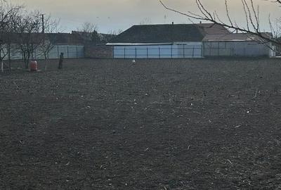 Casă cu Teren 2880 Mp în Central - 3