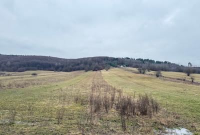 Teren extravilan 1500 mp de vânzare în Teliu – zonă liniștită - 2