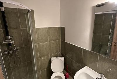 Proprietate cu piscina Dumbravita - 32