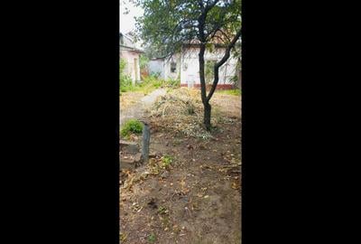 Teren cu casa de Bucurestii Noi I Parc Bazilescu Teren cu casa de Bucurestii Noi I Parc Bazilescu - 3