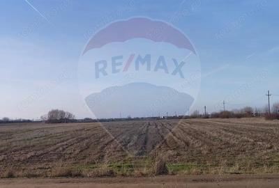 Teren de 7469 mp, în Central