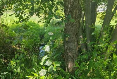 Teren intravilan 1035 mp cu parau, Breaza, Prahova - 5