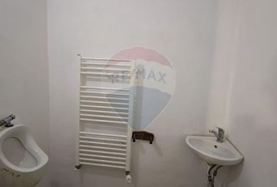 Hotel/Pensiune, de 180 mp, în Baia de Fier - 12