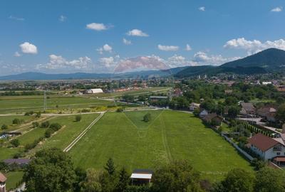 Lot de casa intrare Sacele -Strada Iernii, 640mp - 5