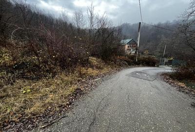 Teren Construcții intravilan de 653 mp, în Nord
