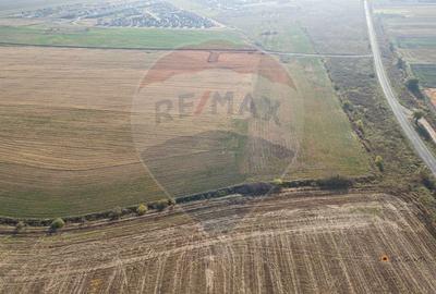 De vanzare teren intravilan 39,016mp Arad / DJ Iratos - 13