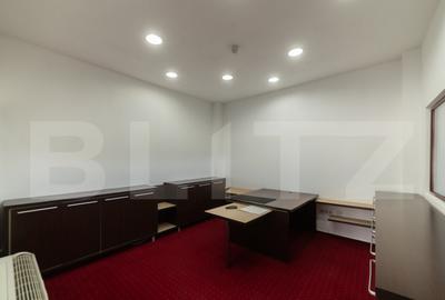 2 Hale+Birouri de inchiriat, acces tir, zona Scheia - 8