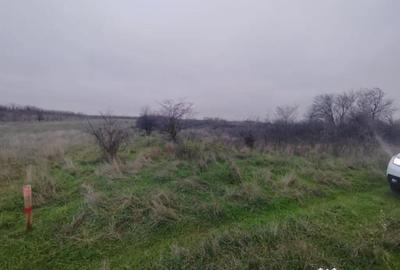 Teren de 2500 mp, în Cârcea