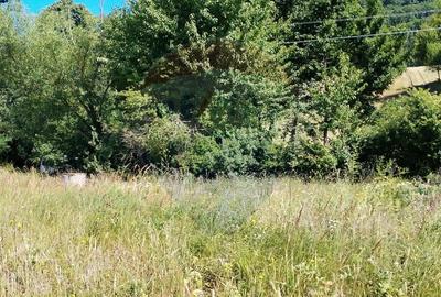 Teren Construcții intravilan de 3871 mp, în Vărmaga - 12