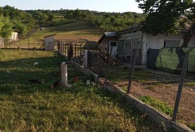 Casa batraneasca si teren - 6