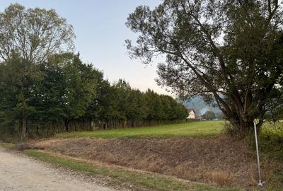 Teren Construcții intravilan de 2000 mp, în Sadu - 6