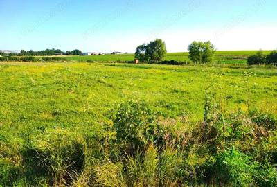 Teren de 18247 mp, în Mișca - 4