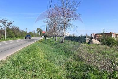 Teren 600mp Paleu / Strada Ardealului - 5