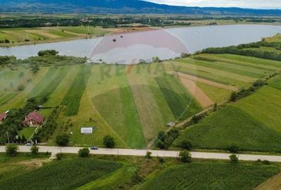 Teren superb Unciuc / jud.Hunedoara - 8