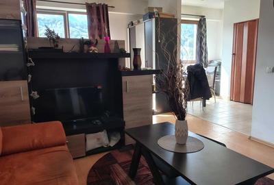 Garsoniera cu priveliste spre Lacul Noua, Brasov - 2