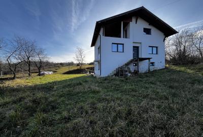 Casă cu 7 camere cu Teren 1600 Mp în Berchez - 12