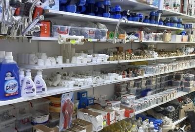 Spațiu comercial plus o vila - 2