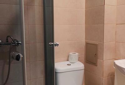 Garsonieră în Theodor Pallady - 5