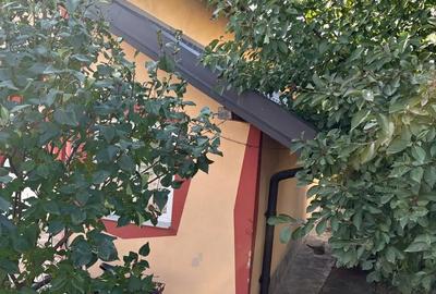 Casă cu 5 camere în Războieni - 4