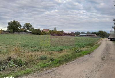 Spațiu comercial, în Manasia - 6